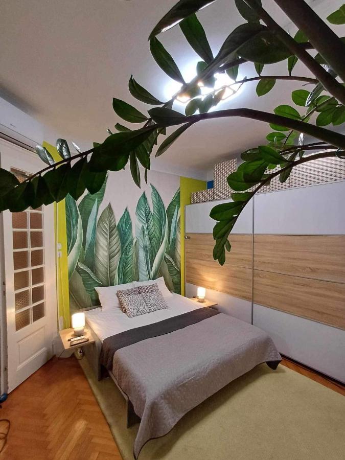 Margaret Bridge Cosy Flat Lägenhet Budapest Exteriör bild
